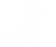 Web Development Services in Delhi by Globular Inc.