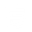 Web Development Services in Delhi by Globular Inc.